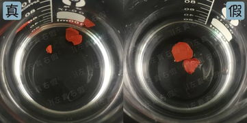 這個(gè)秋冬最值得購(gòu)買(mǎi)的mac口紅色號(hào)